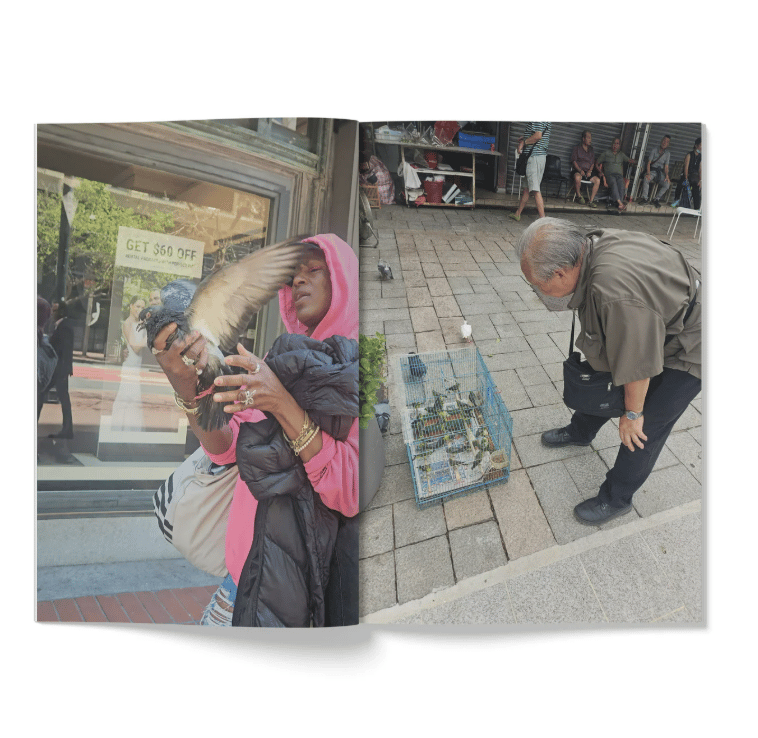 "Pocket Vision" by Louii Streets - Hobo Books