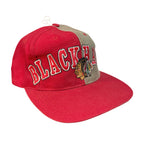 Vintage 1993 "Chicago Blackhawks" cap